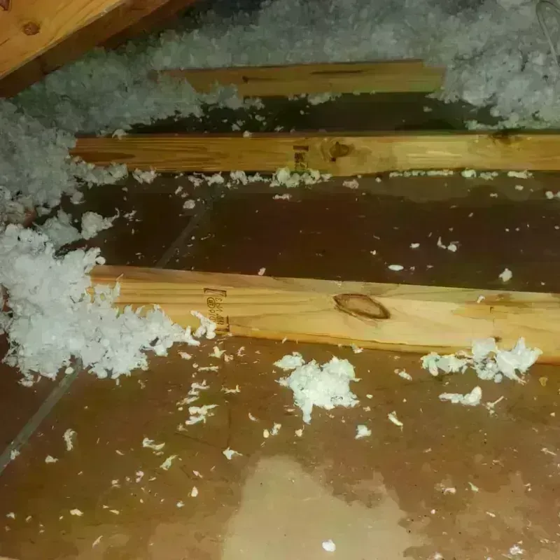 Attic Water Damage in Jackson County, CO